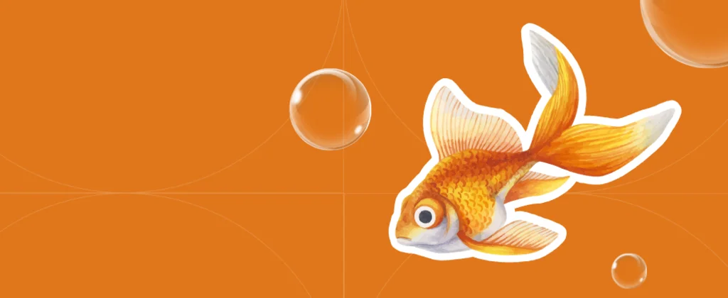 Kako ustvariti uspešno email kampanjo?